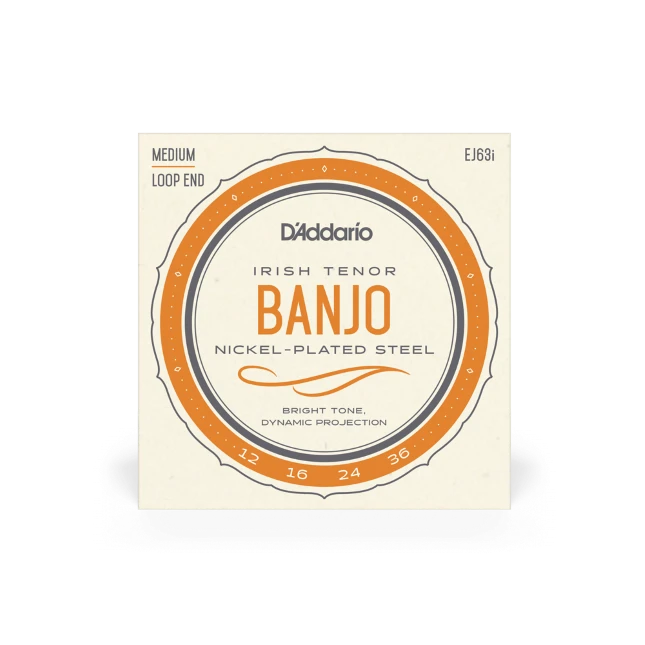 d'Addario EJ63-i 012-36 Set IRISH Banjo tenor